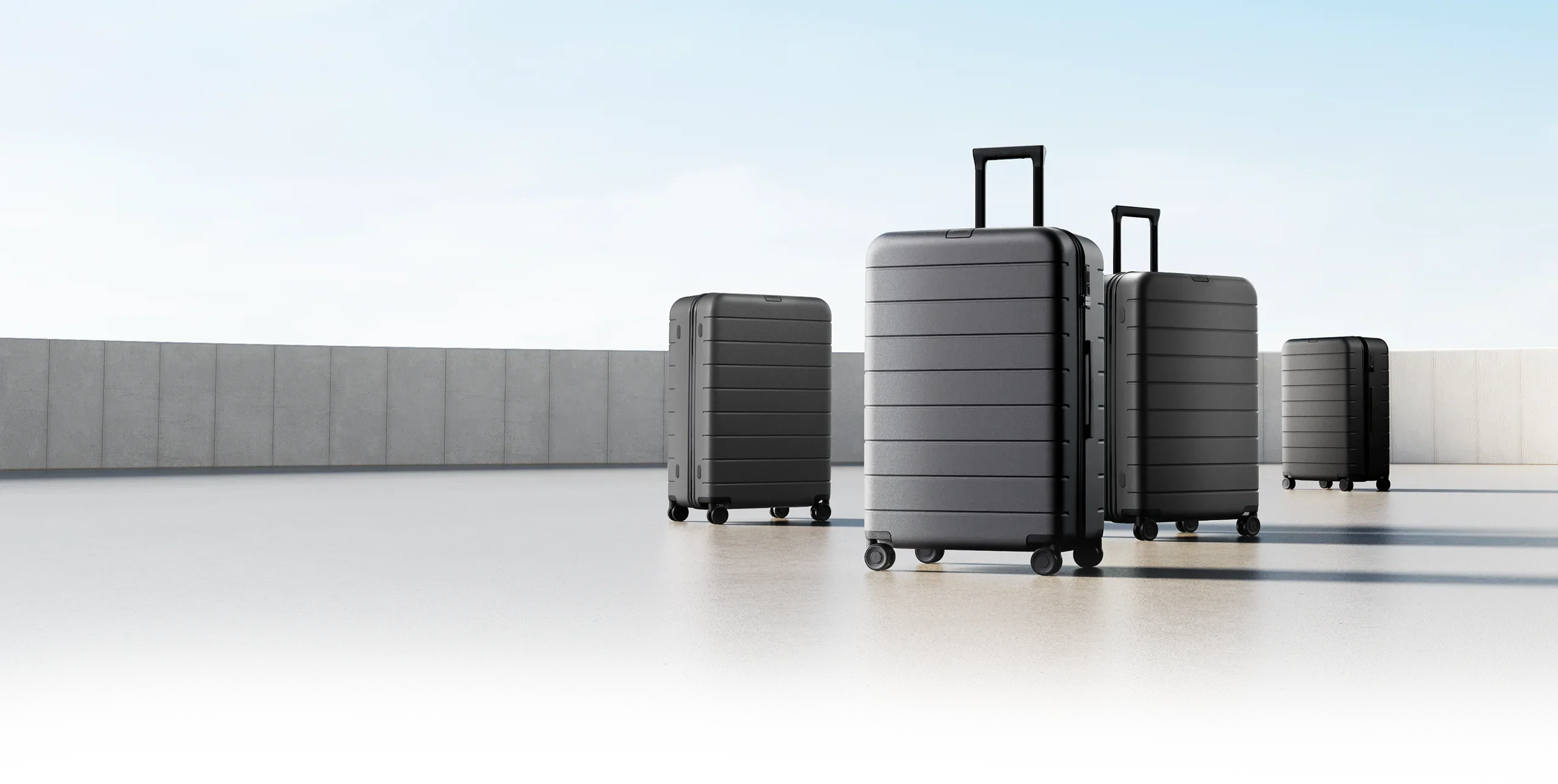 Luggage Classic Pro - Image 3